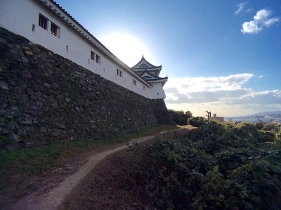 和歌山城天守曲輪北側から乾櫓を見る