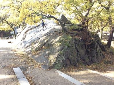 和歌山城南にある岡公園の露出岩