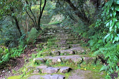 井戸丸方面（東側）