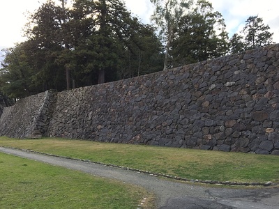 二の丸下の段から見る石垣