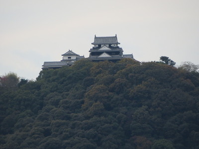 展望台から松山城