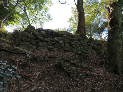 東腰曲輪下の石垣