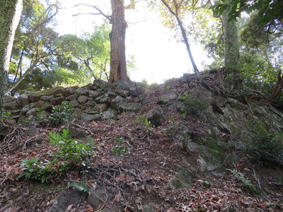 東腰曲輪下の石垣