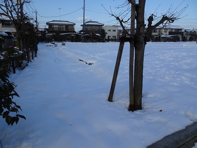 雪に埋もれた空堀