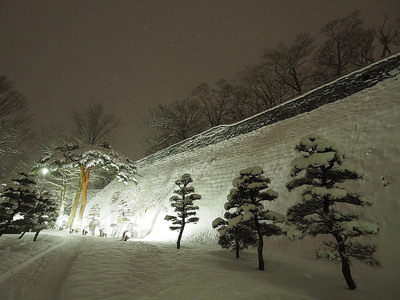 雪かぶる石垣