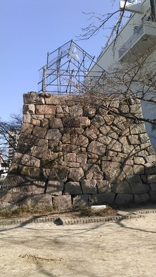 桜城の石垣