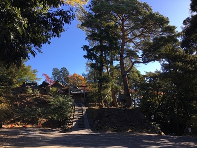 二の丸跡から本丸・唐沢山神社を撮影