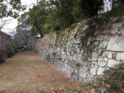 上野高等学校北側の石垣