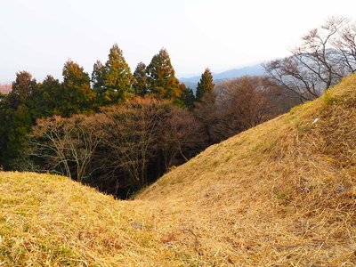 大堀切からの竪堀◆阿坂城