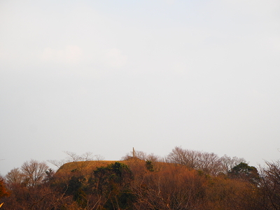 椎ノ木城から見る阿坂城
