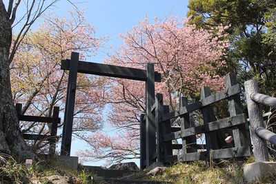 模擬冠木門と満開の桜