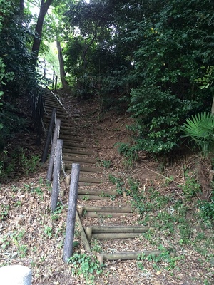 台地南端の階段