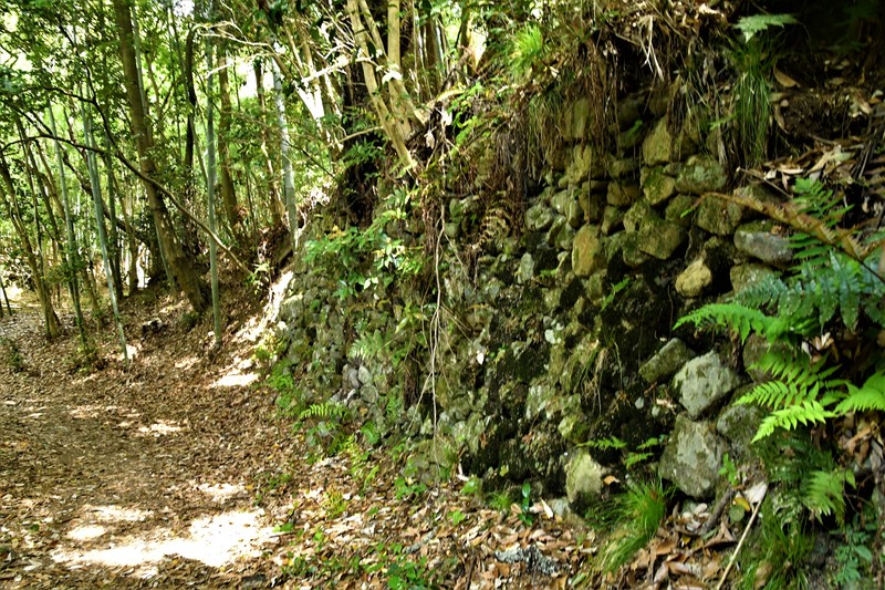 登城道の野趣あふれる石垣