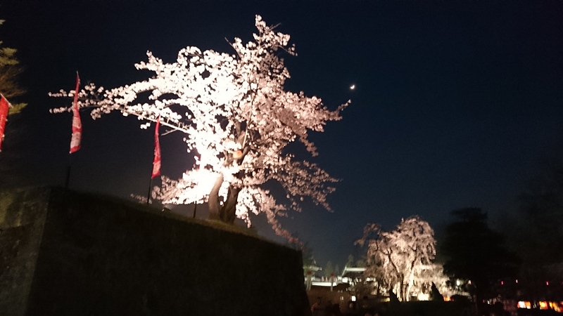 二ノ丸東虎口から見る夜桜と月