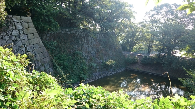 本丸石垣と水堀
