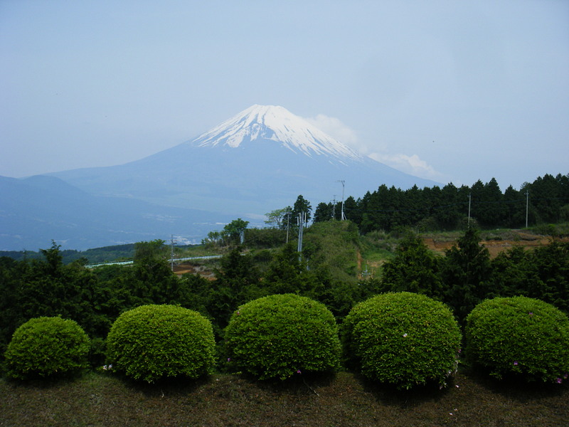 山中城から見える富士山