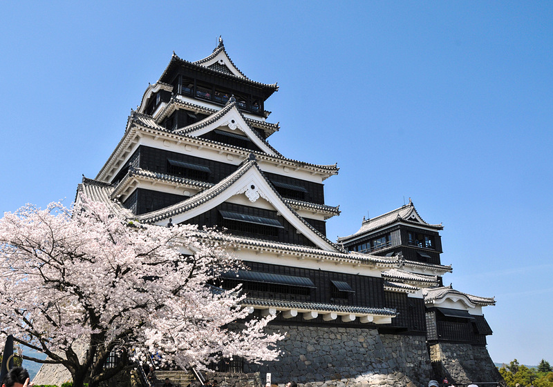 桜咲く熊本城