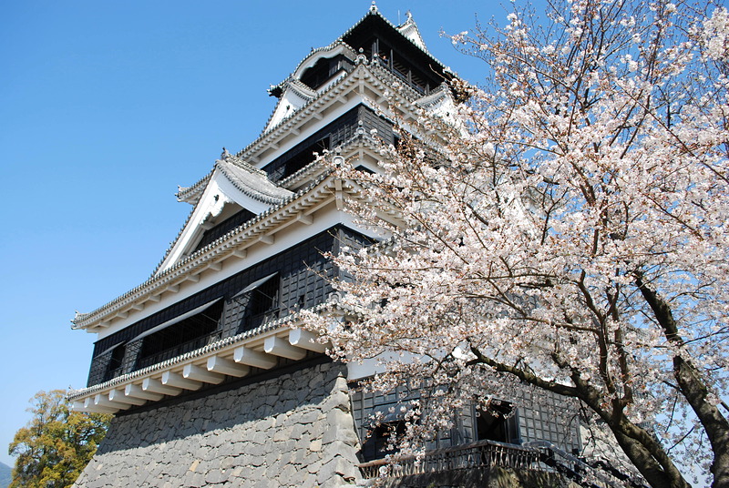 桜越しに熊本城を斜めの角度から