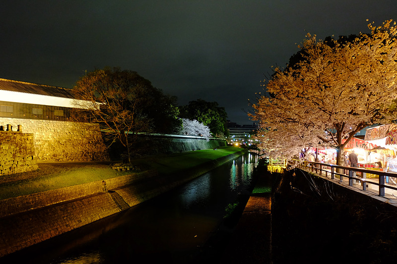 夜の熊本城の堀端