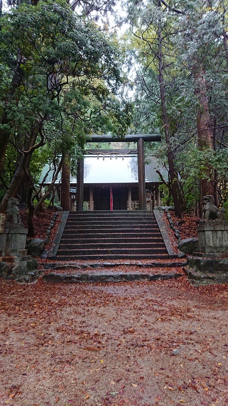 三の丸からの千早神社