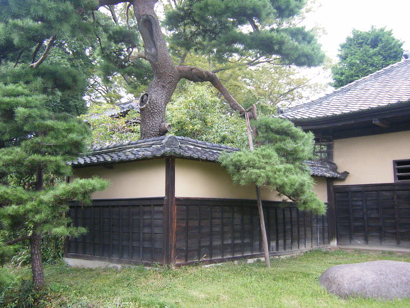 松と築地塀