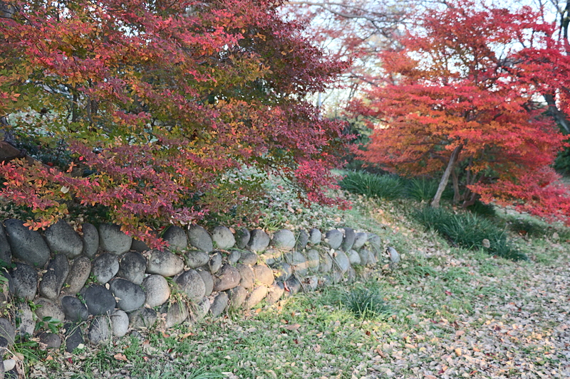 紅葉と残る石垣