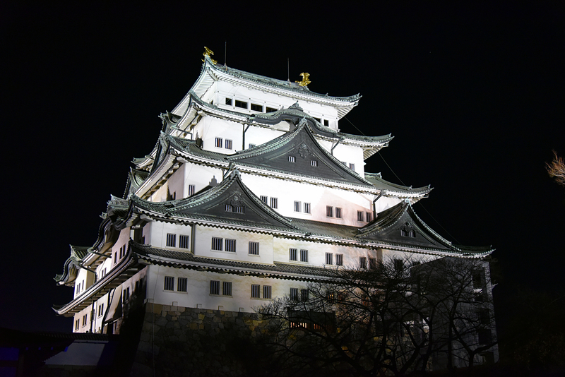 名古屋城の写真 ライトアップ 攻城団