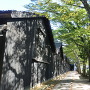 山居倉庫の欅並木