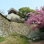 ニノ門南櫓と桜