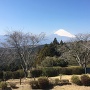 三島市と富士山