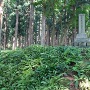 長尾政景墓所