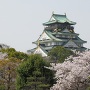 満開の桜越しの大阪城天守