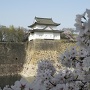 桜の向こうの六番櫓