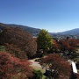 本丸紅葉と富士山