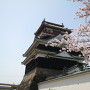 桜と清州城（北から）