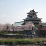 桜と清州城（西から）