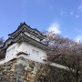 桜と隅櫓