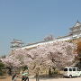 桜満艦姫路城