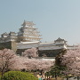 姫路城桜の雲海