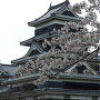 松本城の春①