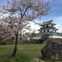 桜と三階櫓