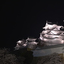 夜桜に浮かぶ姫路城