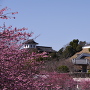 掛川城と太鼓櫓