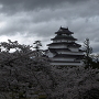 桜に浮かぶ鶴ヶ城