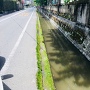 佐賀西高校側の水路