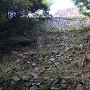登山途中の石垣