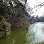 茶臼山とそれを囲う河底池