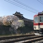 お城と桜と電車