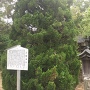 大関城跡