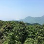 香春岳を眺める